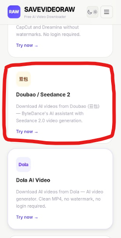 Step 5 — Open savevideoraw.com/dola