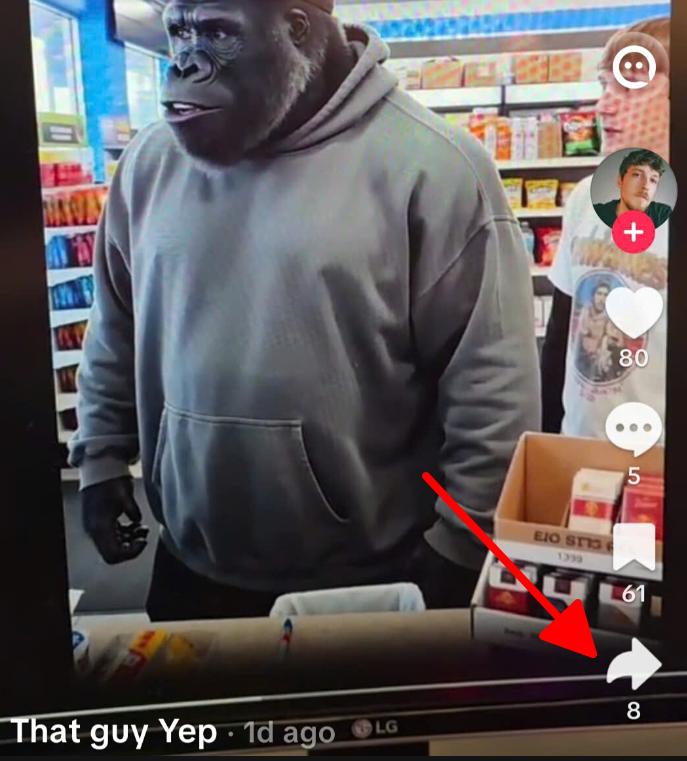 TikTok mobile app — tap Share then Copy Link