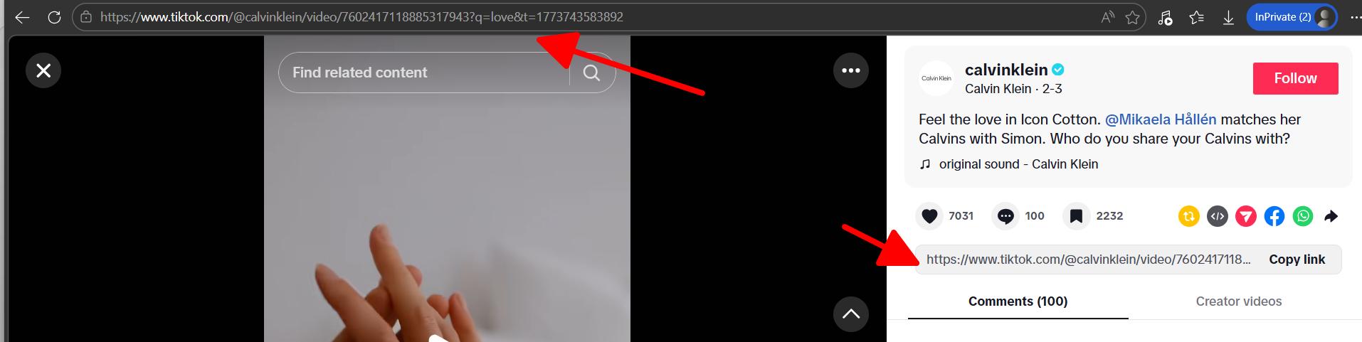 TikTok website — copy link from Share menu